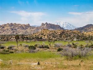 52550 Geronimo Trail Pioneertown CA 92268 | MLS #JT24022948 33 MLS #JT24022948 image #0