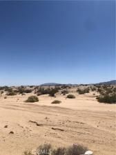 MLS #JT24047080 image #0