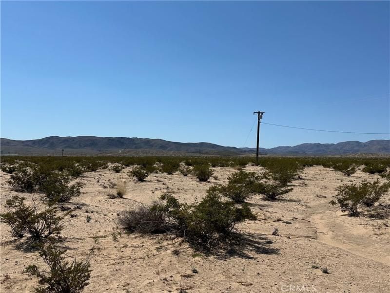 1234 El Paseo 29 Palms CA 92277 | MLS #JT24054311 45 MLS #JT24054311 image #0