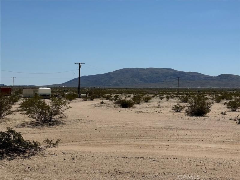 MLS #JT24055235 image #0