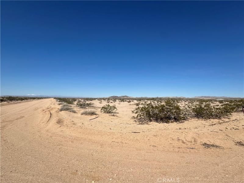 MLS #JT24055391 image #0