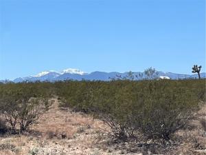 MLS #JT24091345 image #0