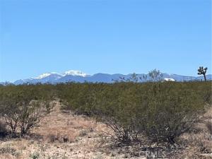 MLS #JT24091345 image #0