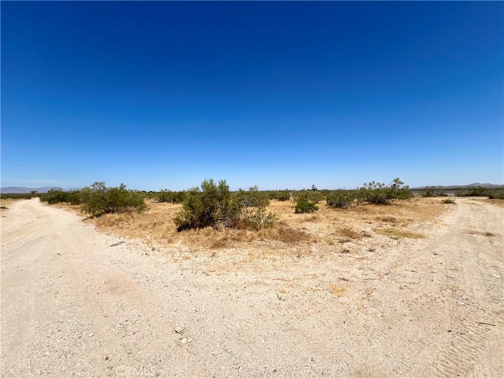 MLS #JT24120526 image #0