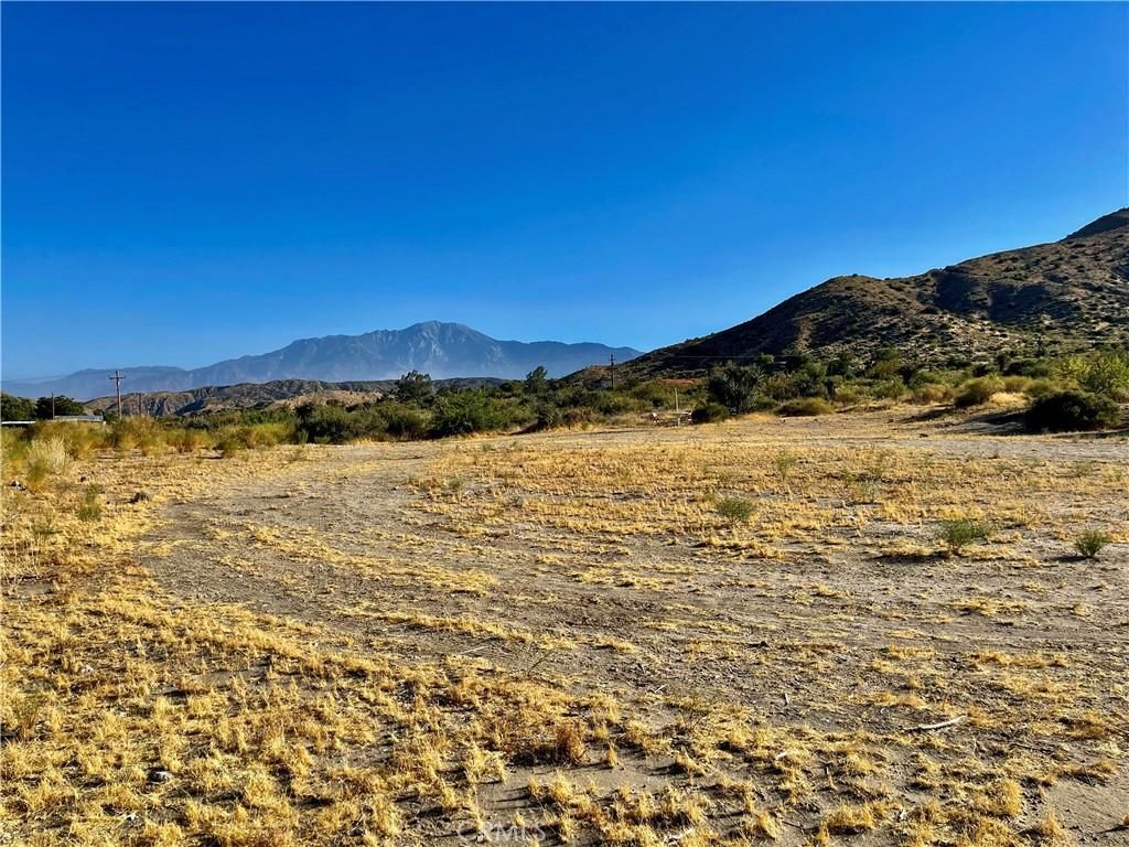 MLS #JT24124601 image #0