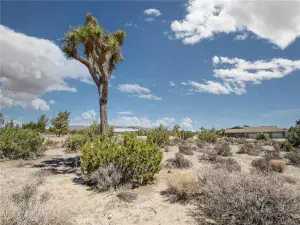 broker reciprocity