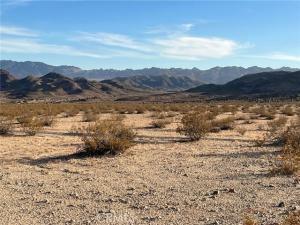 MLS #JT24251193 image #0