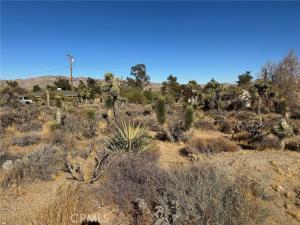 56434 Desert Gold Drive Yucca Valley CA 92284 | MLS #JT25009563 45 MLS #JT25009563 image #0