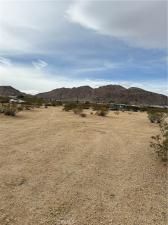 MLS #JT25057735 image #0