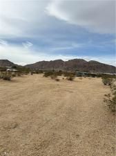 MLS #JT25057735 image #0