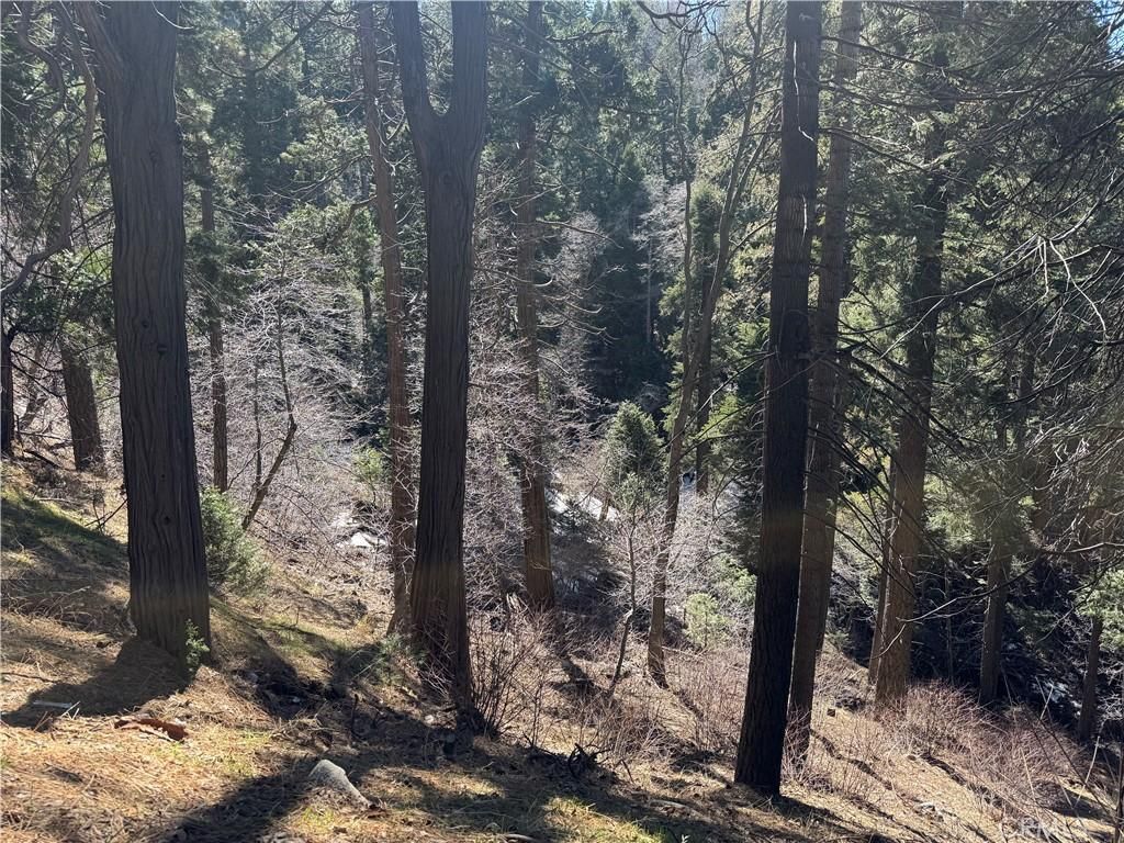 MLS #JT25064713 image #0