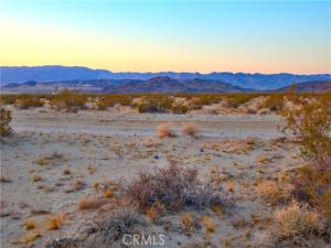 10 Learco Way Joshua Tree CA 92252 | MLS #JT25071658 45 MLS #JT25071658 image #0