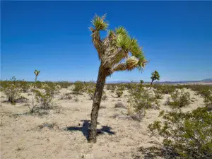 broker reciprocity