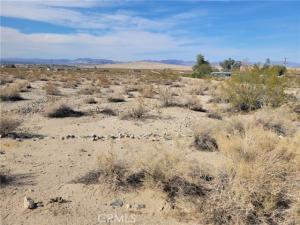 7100 Wilshire Avenue 29 Palms CA 92277 | MLS #JT25082104 45 MLS #JT25082104 image #0