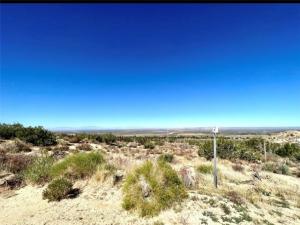 MLS #JT25083849 image #0