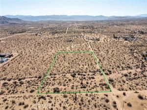 MLS #JT25097293 image #0