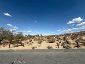 MLS #JT25110566 image #0