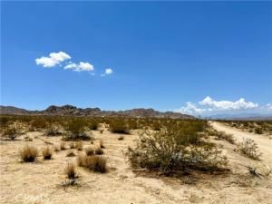 MLS #JT25125865 image #0