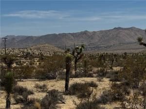 MLS #JT25134804 image #0