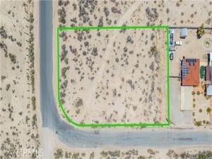 MLS #JT25135983 image #0