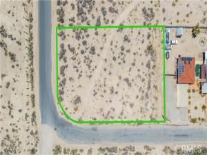 MLS #JT25135983 image #0