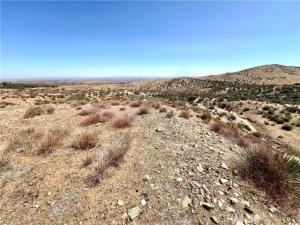 MLS #JT25136237 image #0