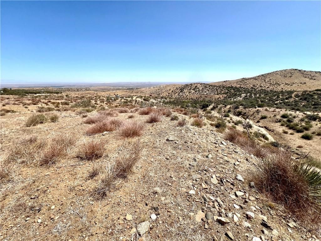 MLS #JT25136237 image #0