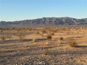 MLS #JT25137885 image #0