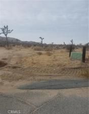 MLS #JT25145411 image #0