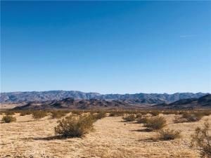 MLS #JT25151667 image #0