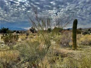 11040 Mescalero Avenue Morongo Valley CA 92256 | MLS #JT25153669 37 MLS #JT25153669 image #0