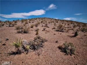 MLS #JT25155629 image #0