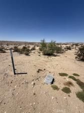 MLS #JT25156419 image #0