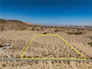 MLS #JT25162303 image #0