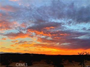 MLS #JT25171128 image #0