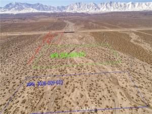 MLS #JT25172803 image #0