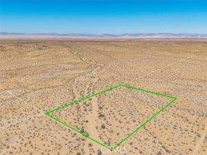 MLS #JT25173166 image #0