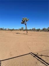 MLS #JT25174119 image #0