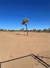 MLS #JT25174119 image #0