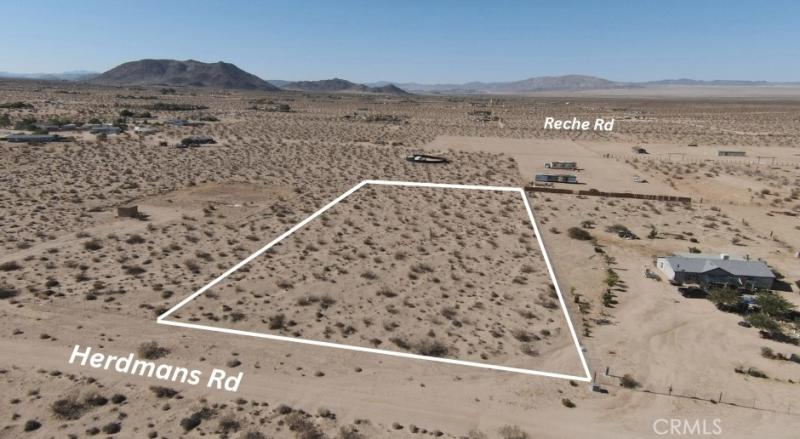 MLS #JT25174200 image #0