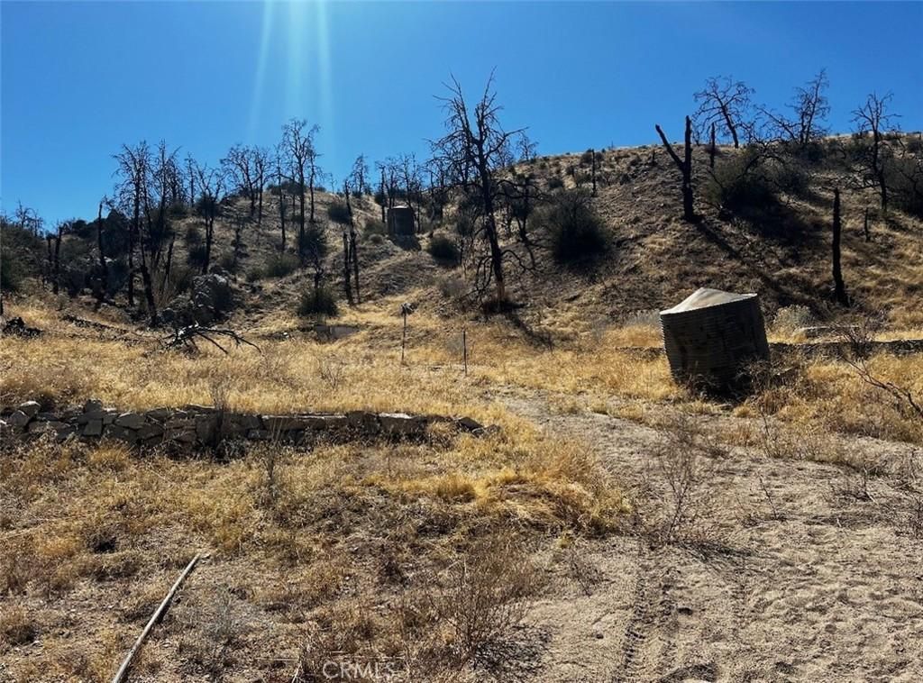 MLS #JT25174749 image #0