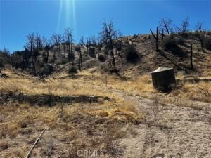 MLS #JT25174749 image #0