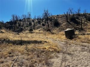 MLS #JT25174749 image #0