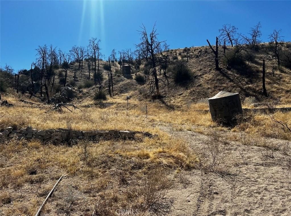 MLS #JT25174749 image #0