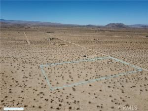 MLS #JT25175379 image #0