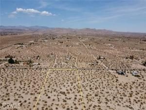 MLS #JT25177043 image #0