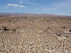 MLS #JT25177043 image #0