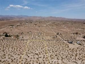 MLS #JT25177043 image #0