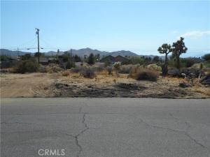 MLS #JT25181144 image #0