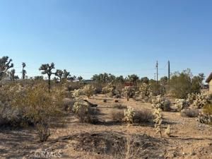 MLS #JT25181795 image #0